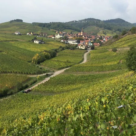 Caveau 1751 Niedermorschwihr Extérieur photo